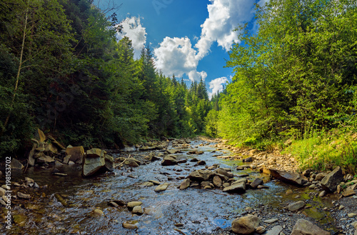 Landscape with mountain river in summer Carpathians. Forest stream in sunny day © Maxim Khytra