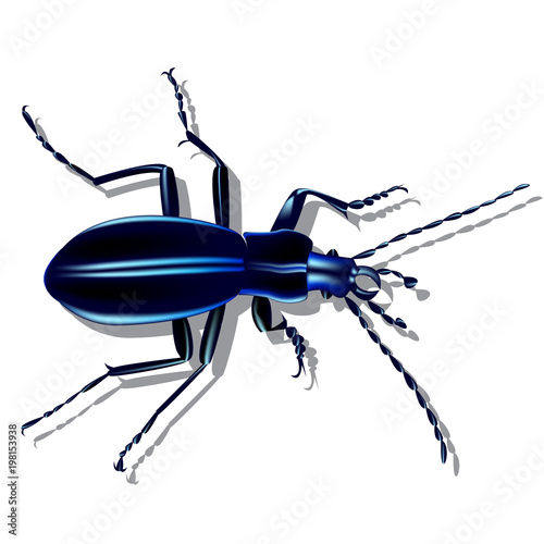 blue earth beetle, insect with shadow on a piece of paper, 3d photo