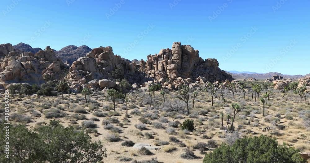Joshua Tree National Park panning view, California Joshua Tree National Park panning view, California