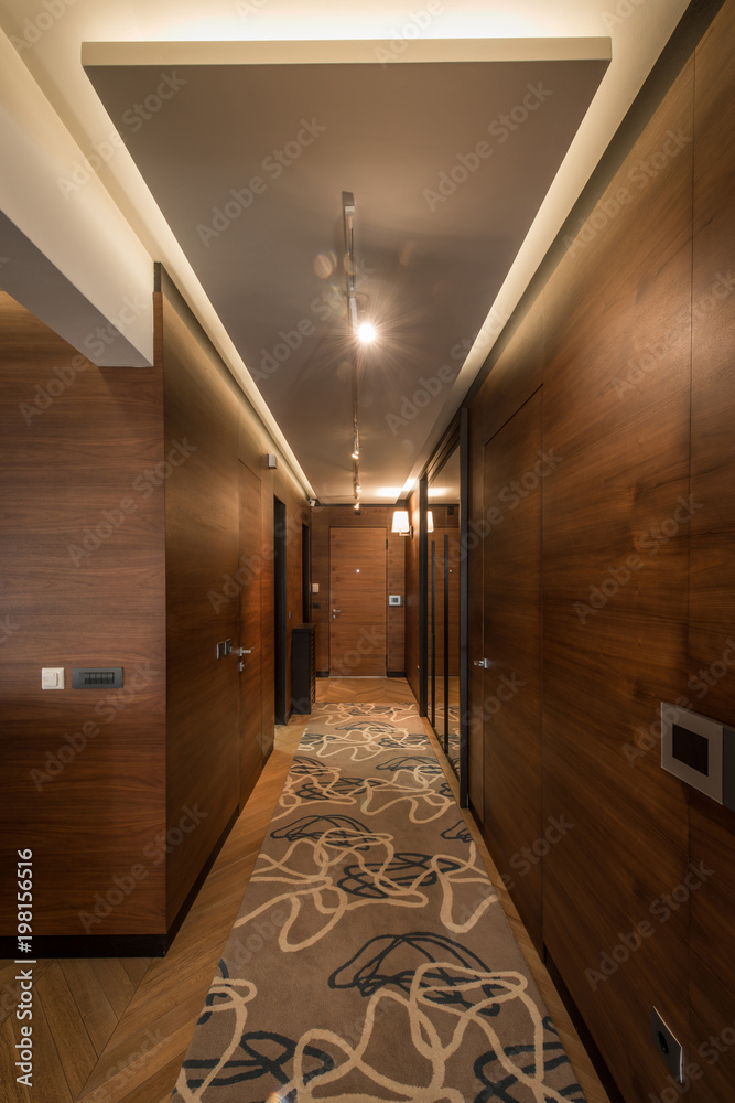 Naklejka premium Luxury apartment interior, brown corridor