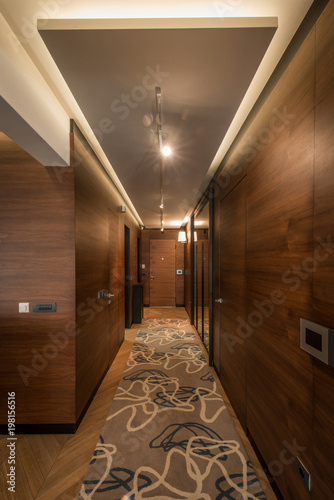 Luxury apartment interior, brown corridor