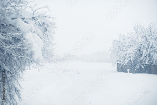 Winter snowfall in the village. Snowy collapse © prokop.photo