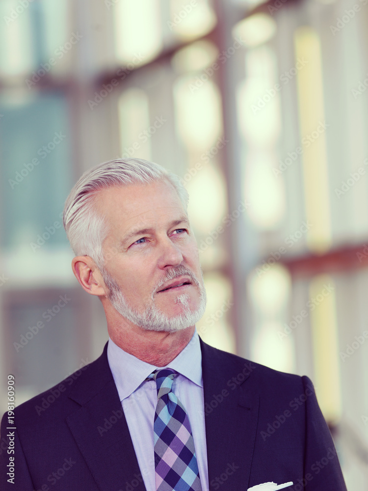 senior business man portrait senior business man portrait