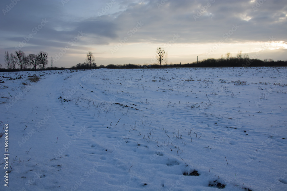Winter evening and snow on the field Winter evening and snow on the field