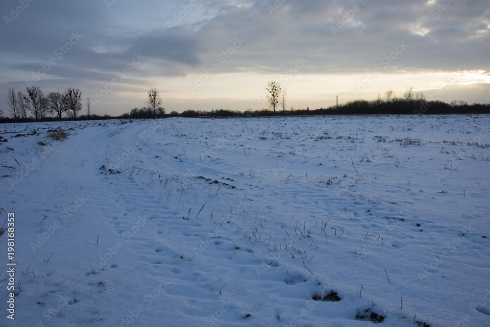 Winter evening and snow on the field