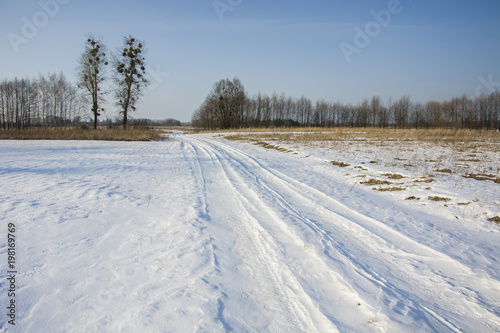 Snow-covered country road, trees and blue sky © darekb22