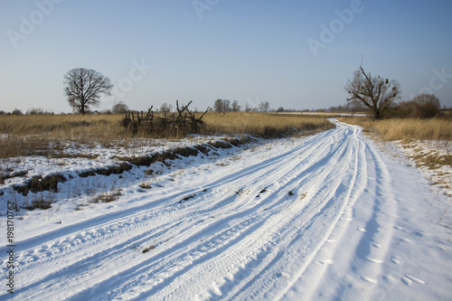 Snow-covered road, meadows and trees © darekb22