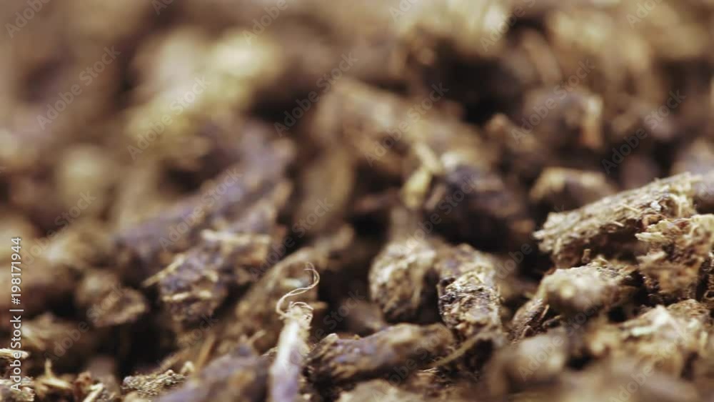 Ivan-tea is fermented Ivan-tea is fermented