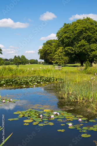 Summer sunshine on the picturesque village green and ponds at Frampton on Severn, Gloucestershire, UK. photo