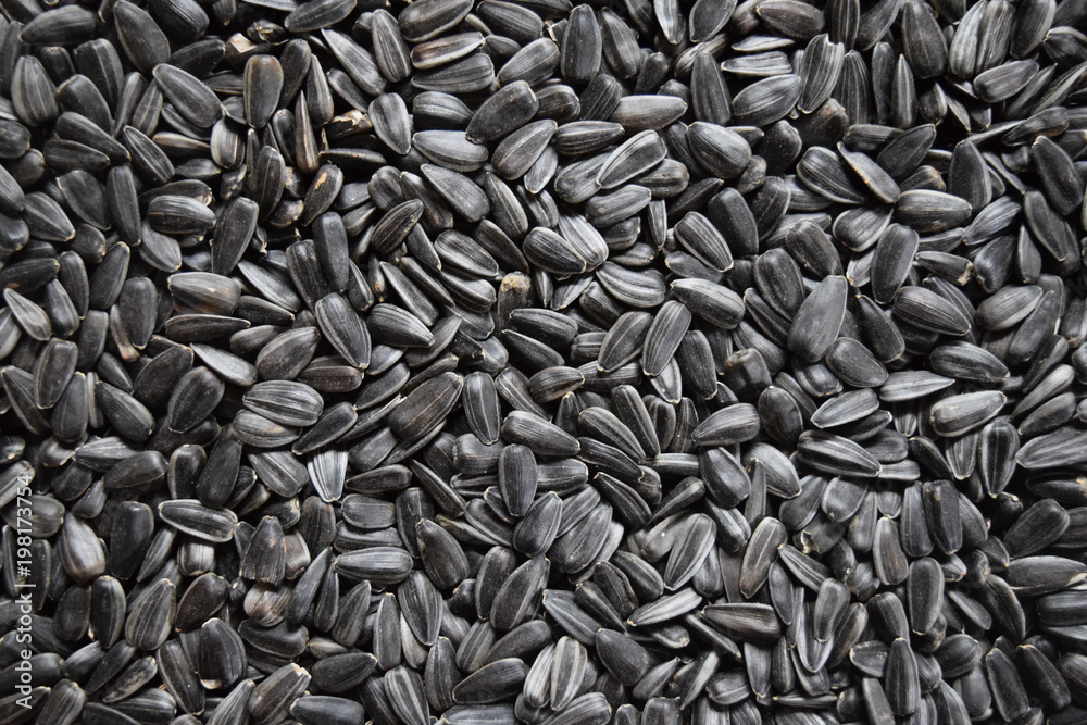 Black sunflower seeds. Black sunflower seeds.