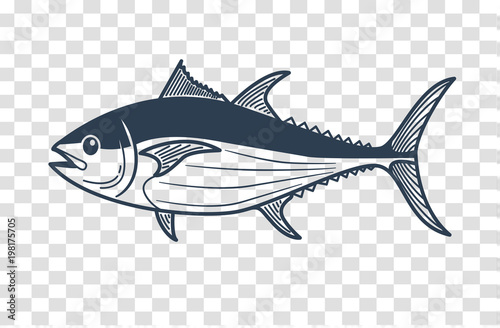 silhouette of tuna