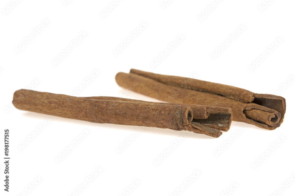 two cinnamon sticks on a white background two cinnamon sticks on a white background