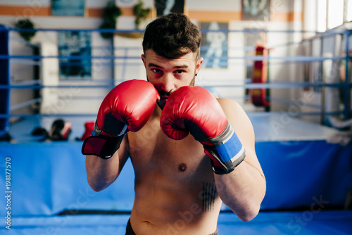 Handsome fighter in the gym