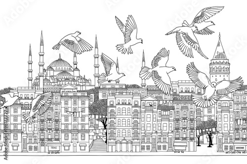 Birds over Istanbul - hand drawn black and white illustration of the city with a flock of doves
