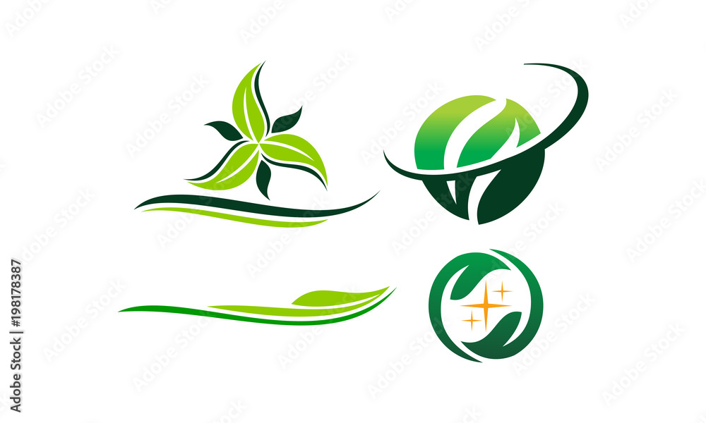 Leaf Template Vector Set Leaf Template Vector Set