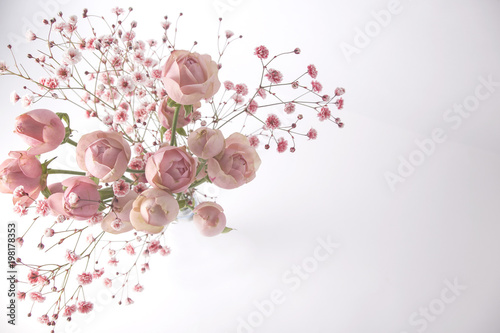 Ranunculus and pink flowers isolated on white background photo