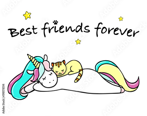 Hand drawn illustration of a magic unicorn and cat. Best friends forever. Vector isolated illustration.