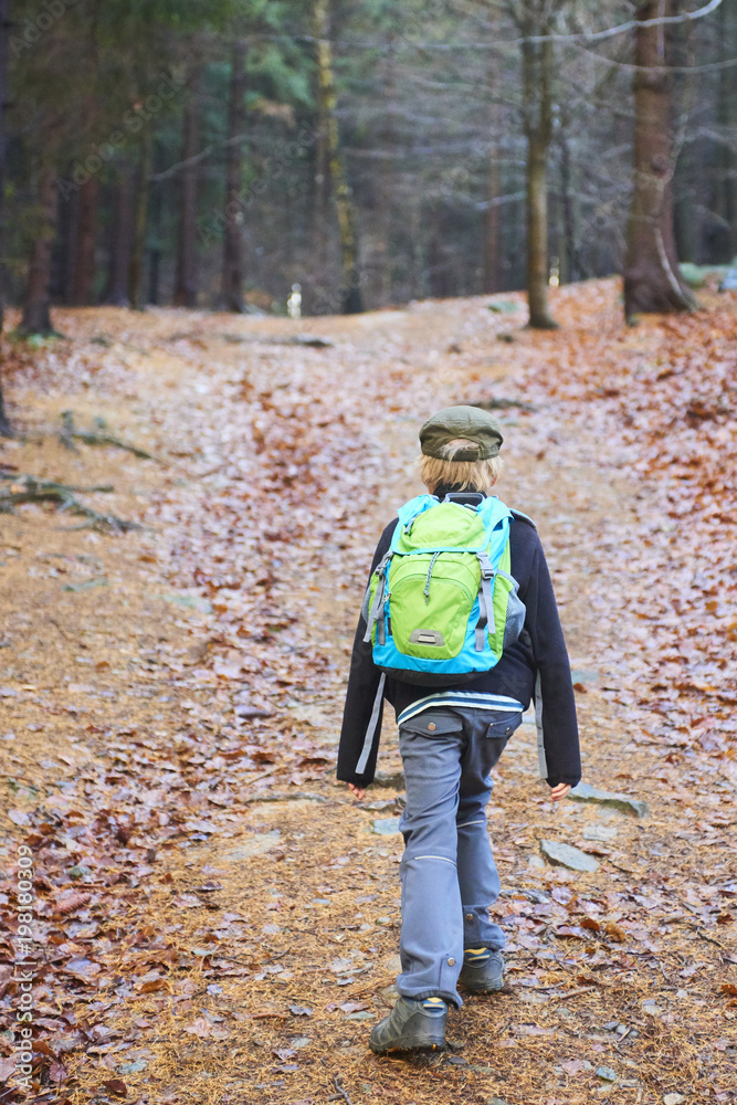 Child boy walking on a forest path. Back view Child boy walking on a forest path. Back view
