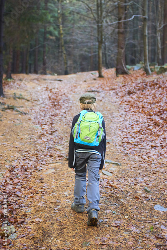 Child boy walking on a forest path. Back view