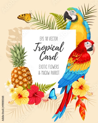 Vector card with macaw and flowers
