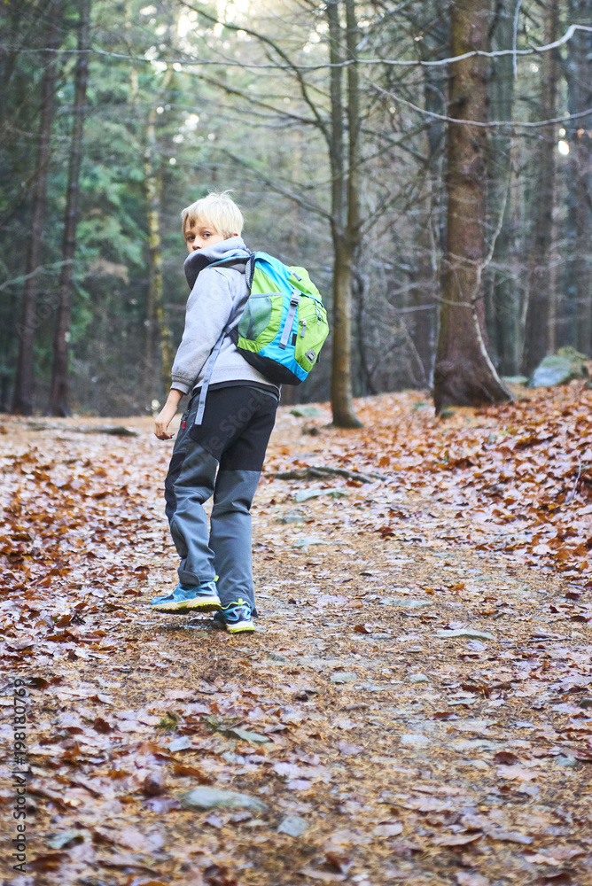 Child boy walking on a forest path. Back view Child boy walking on a forest path. Back view