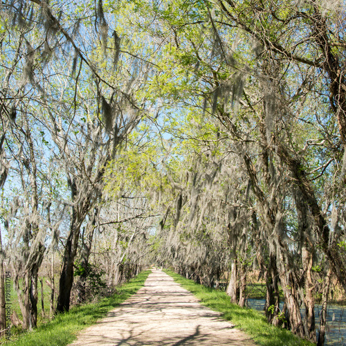 Fotografie Brazos Bend State Park, Texas