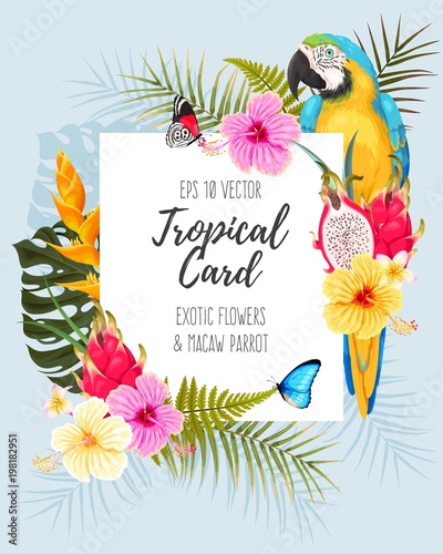 Vector card with macaw and flowers