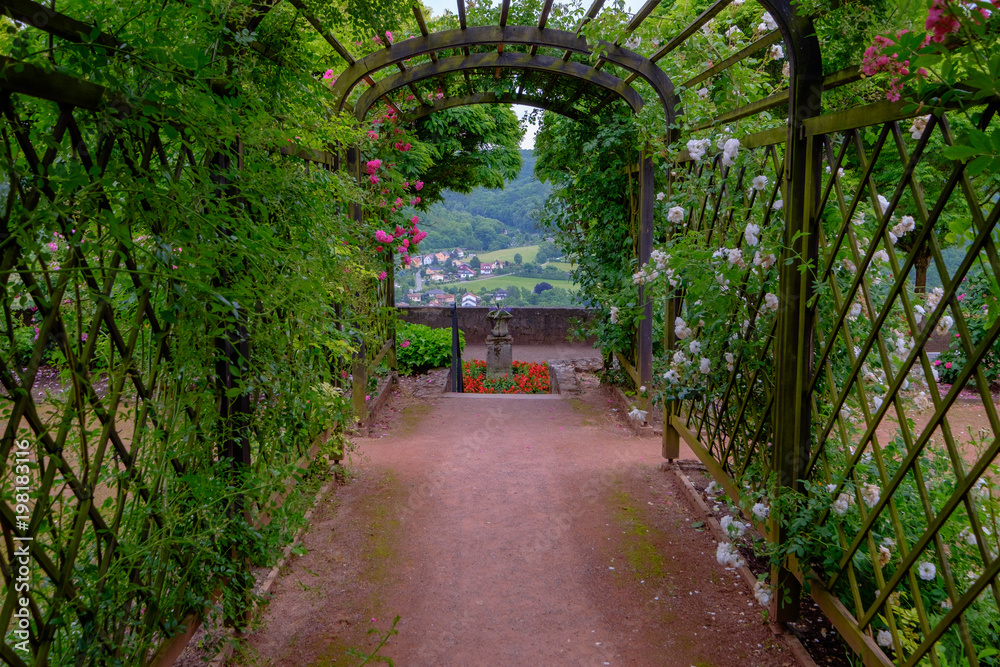 Laubengang im Rosengarten in Dornburg Laubengang im Rosengarten in Dornburg