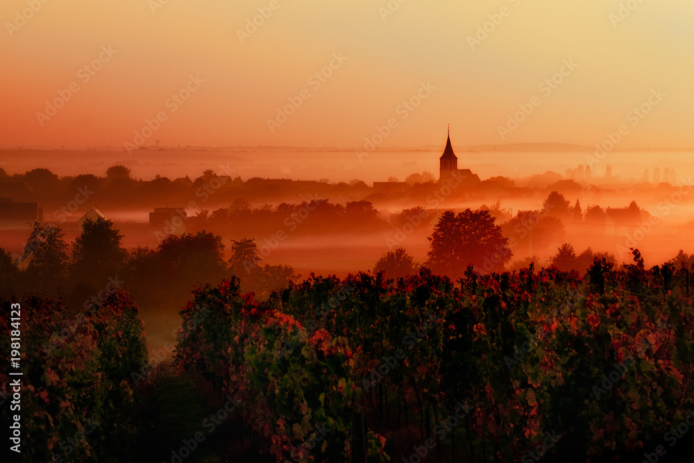 sunset over the vineyards in the loire valley - obrazy, fototapety, plakaty 