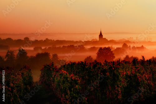 sunset over the vineyards in the loire valley