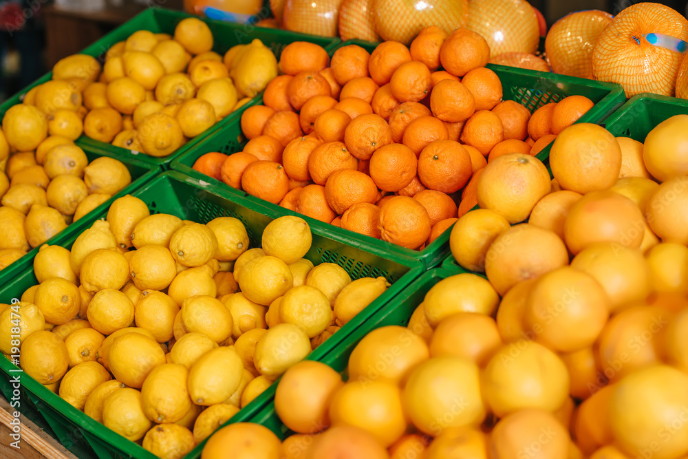 close up view of arranged citrus fruits in grocery shop