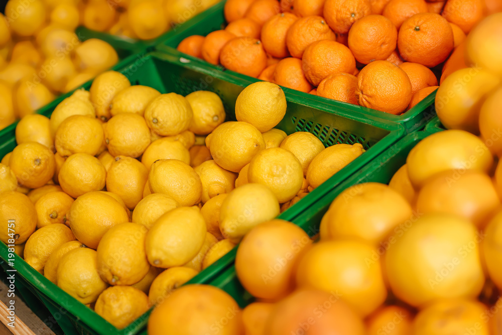 close up view of arranged citrus fruits in grocery shop