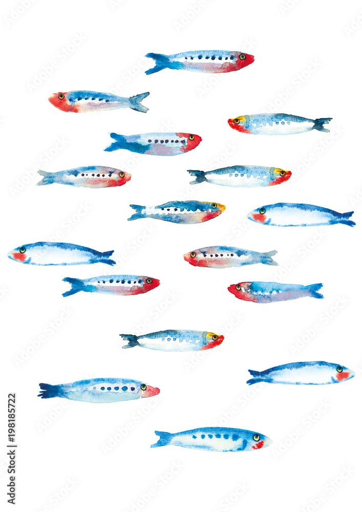 Sardines Sardines