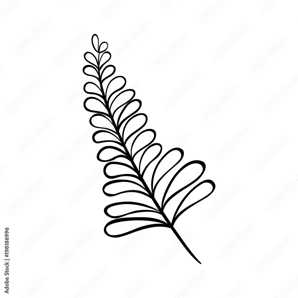 Fototapeta premium Vector outline illustration of flower. Black and white drawing of a plant. Isolated object of floral theme