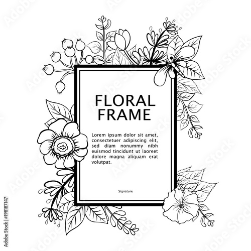 Vector illustrations with spring elements. Frame of garden flowers. Vector rectangle frame, black and white wreath of flowers. Vintage elegant wedding invitation. Plants and herbs