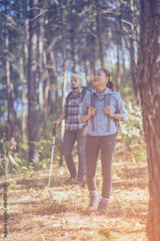 Fototapeta premium Hiking Couple backpacker in the pine forest.