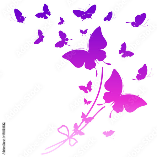 beautiful pink butterflies  isolated  on a white