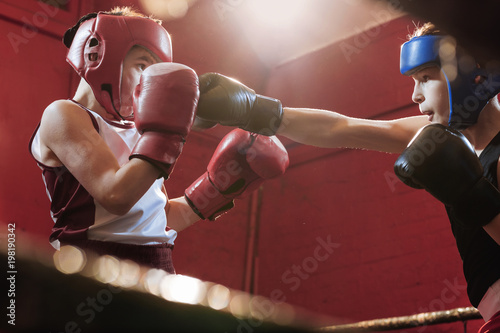 Two young male boxers fitting and training in the ring for a fight