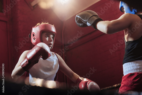 Two young male boxers fitting and training in the ring for a fight