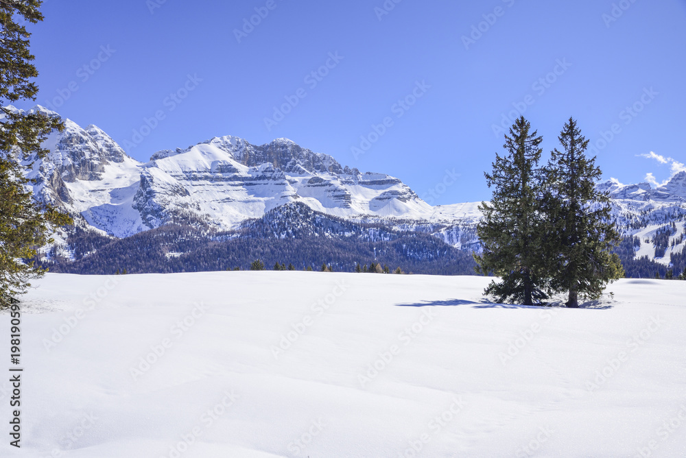 Alps in winter with fresh snow and trees