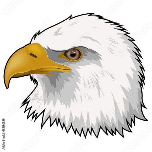 Mascot Head of Eagle Isolated on white background. Vector illustration
