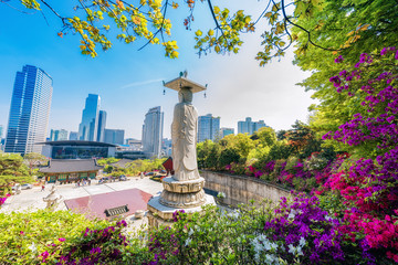 Fototapete Seoul Bongeunsa Tempel im Sommer Gangnam  © boonkerd