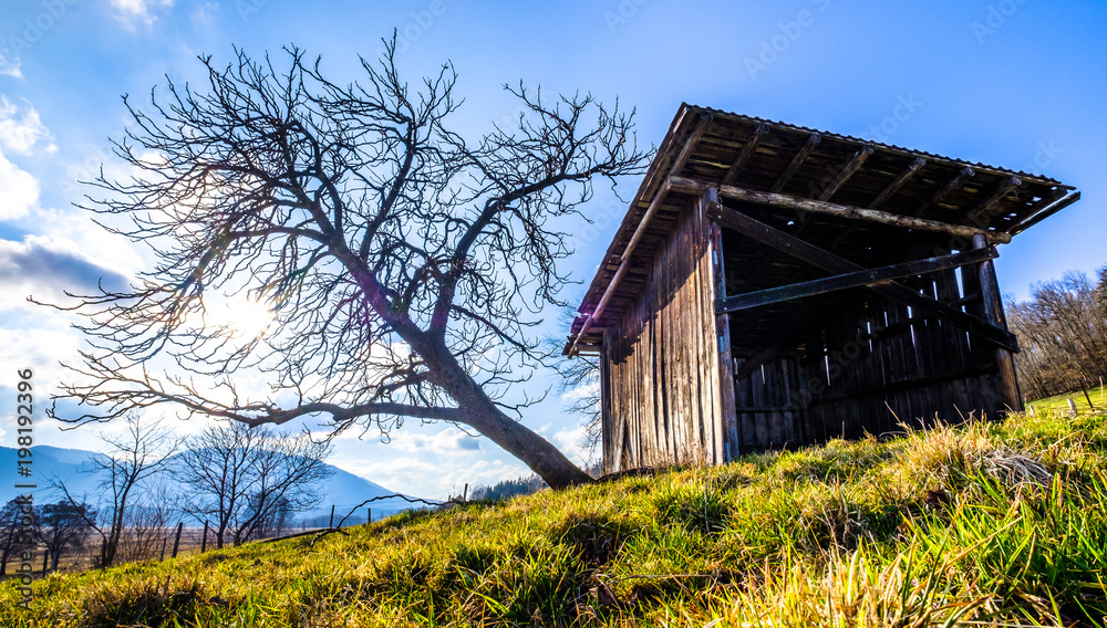landscape murnauer moos - bavaria