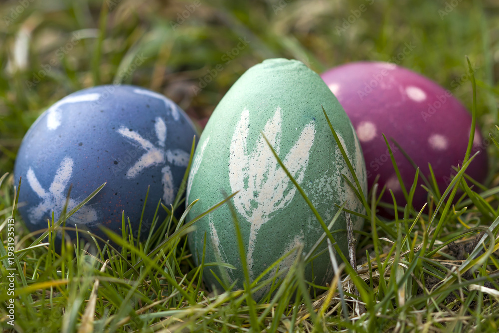Nest of natural-colored Easter eggs Nest of natural-colored Easter eggs