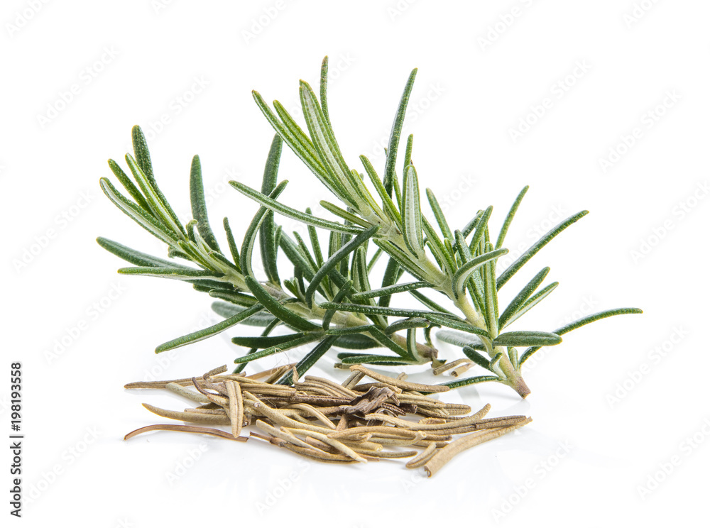 Rosemary isolated on white background Rosemary isolated on white background