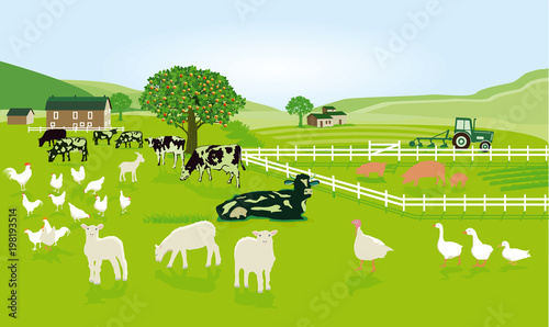 Landwirtschaft mit Tieren auf der Weide

