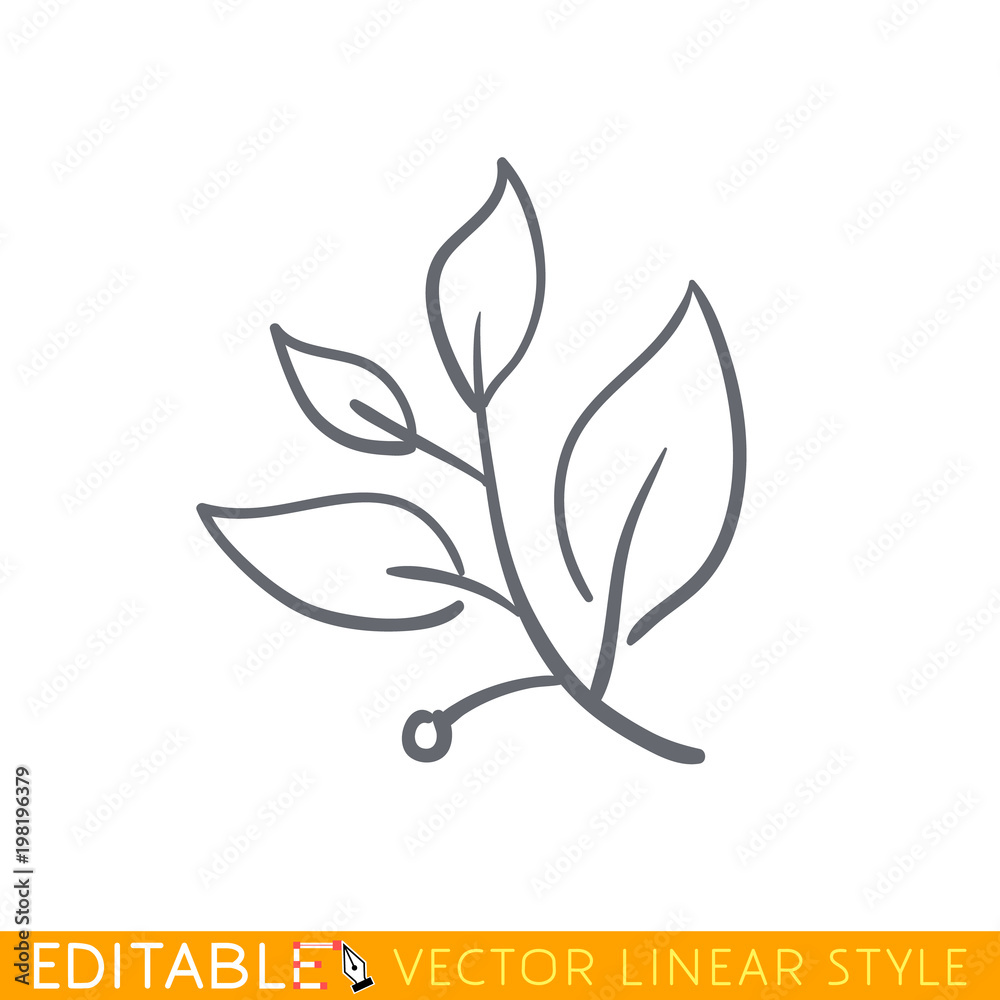 Fototapeta Laurel branch. Editable line sketch icon. Stock vector illustration.