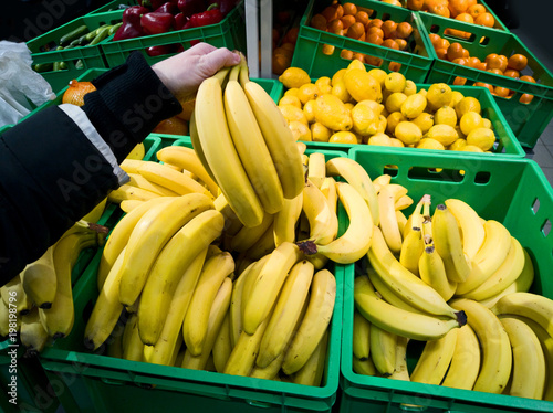 The buyer chooses ripe bananas in the supermarket display case.