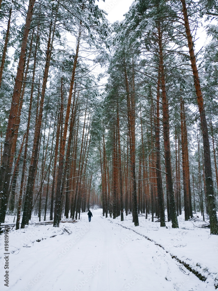 Fototapeta premium man on a road in winter snow forest