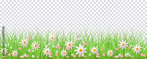 Spring border with green grass and flowers on transparent background - greeting card decoration element for Easter congratulation or poster. Cartoon vector illustration.